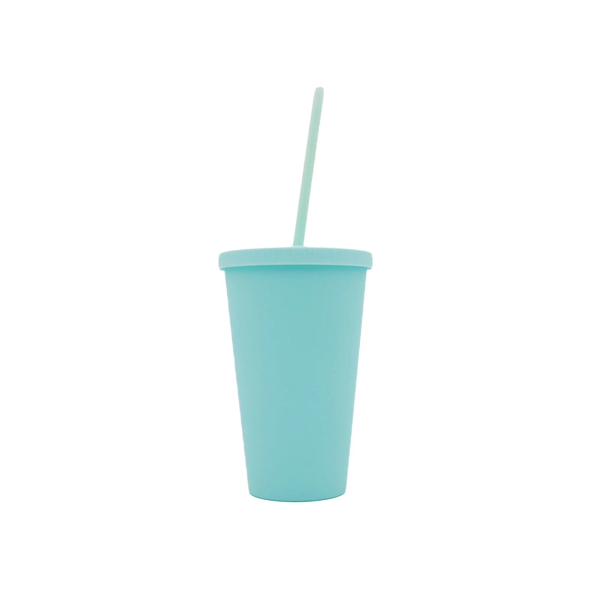 Acrylic Drinking Tumbler 450ml Pastel Colored Matte Finish Cup & Straw