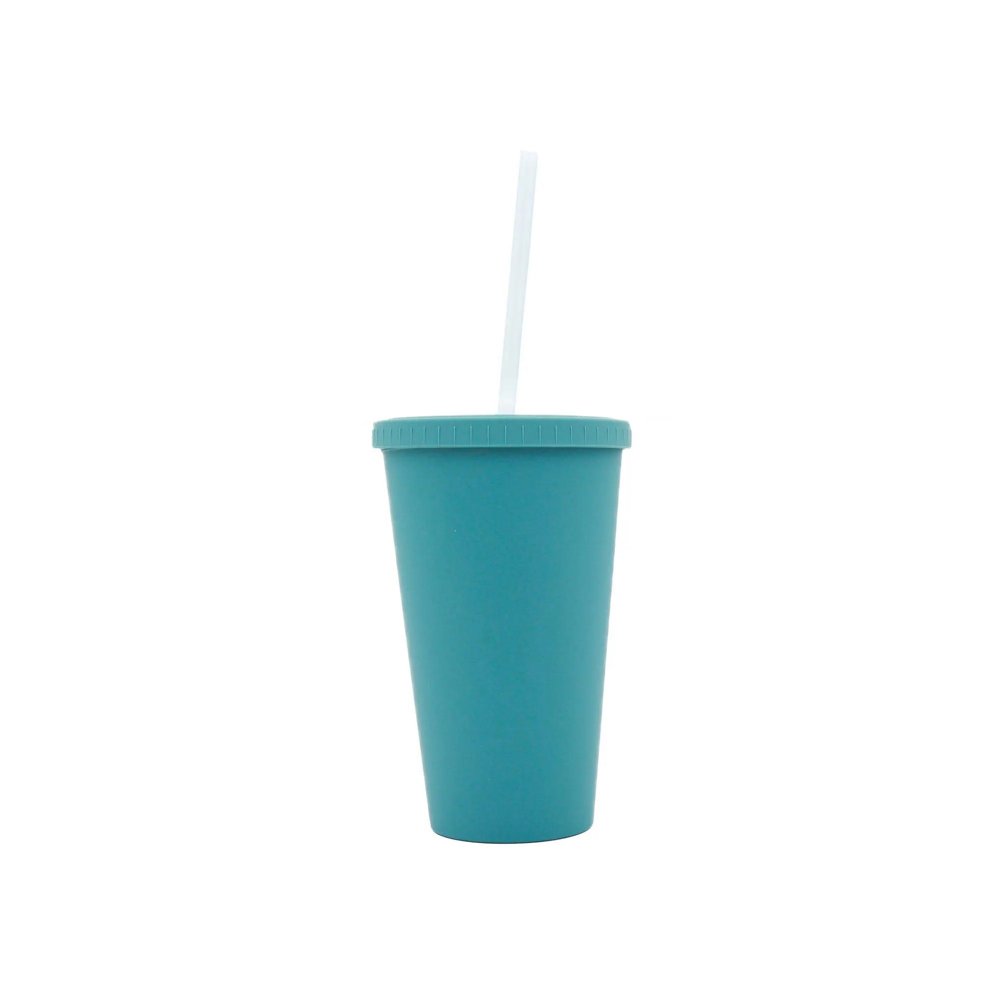 Acrylic Drinking Tumbler 450ml Pastel Colored Matte Finish Cup & Straw