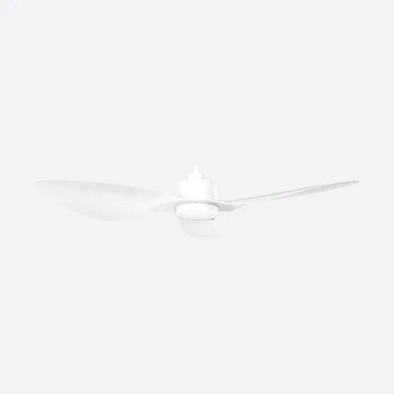 AEF1 Modern Decor Fans (T5F)