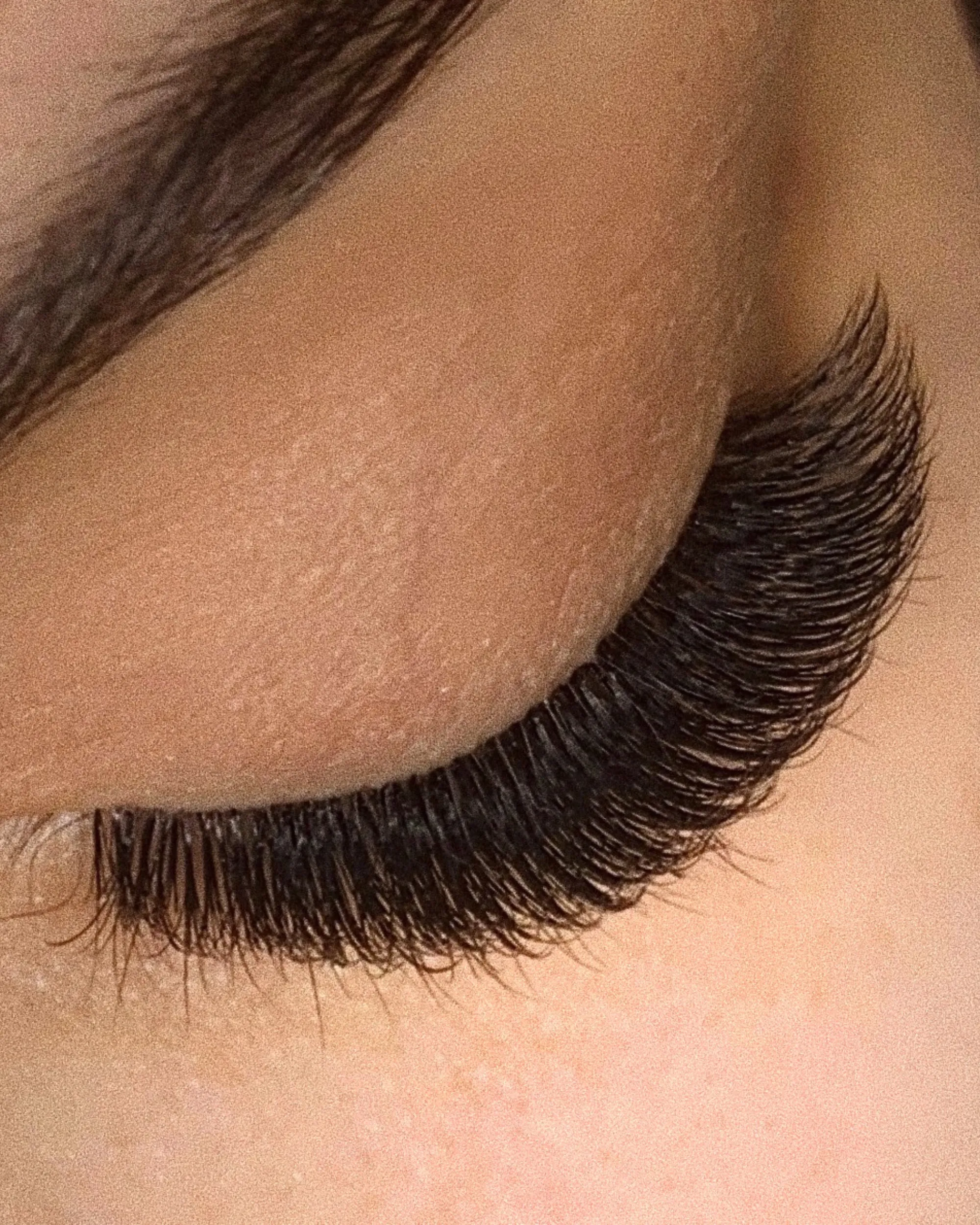 C-Curl Plush Eyelash Extensions (Mixed Trays)