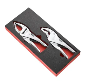 Facom MODM.501A 2pce Lock Grip Plier Set