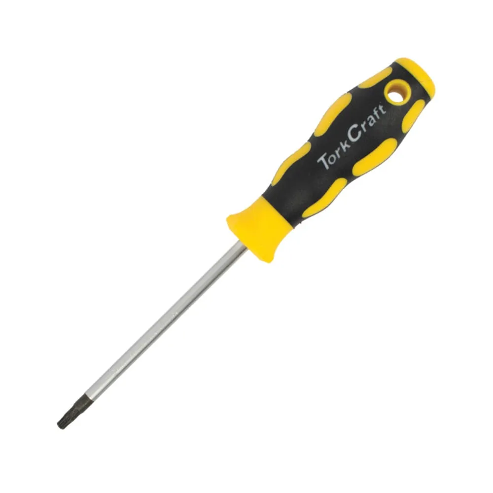 SCREWDRIVER TORX T10 5X 100MM