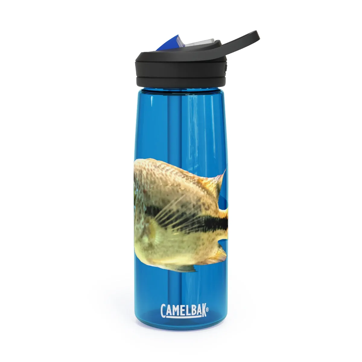 Yellow and Black Fish CamelBak Eddy®  Water Bottle, 20oz / 25oz